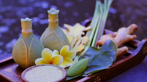 Villa Agata Seminyak Spa