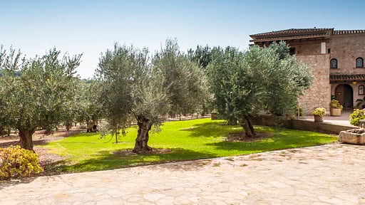 Villa Aguilas Сад