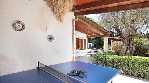 Villa Alegre Table tennis