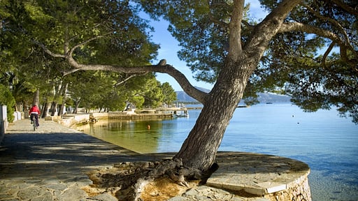 Villa Alfa Surroundings