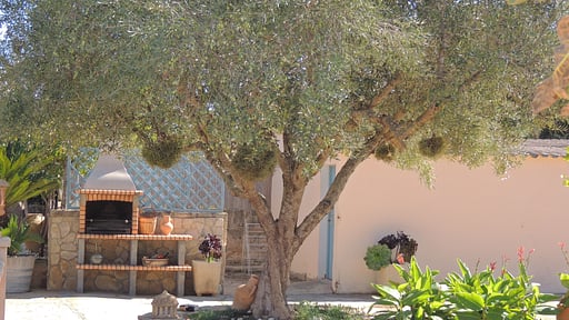 Villa Algaida Barbecue