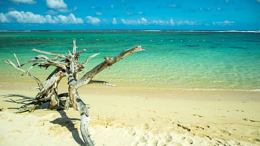 Villa Alina Mauritius Umgebung