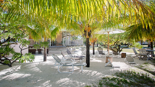 Villa Alizee Andere
