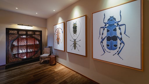 Villa Amarisa Others