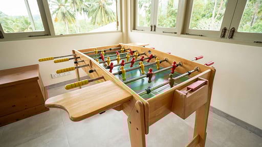 Villa Amber Llama Media room