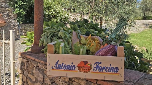 Villa Ambrosia Others