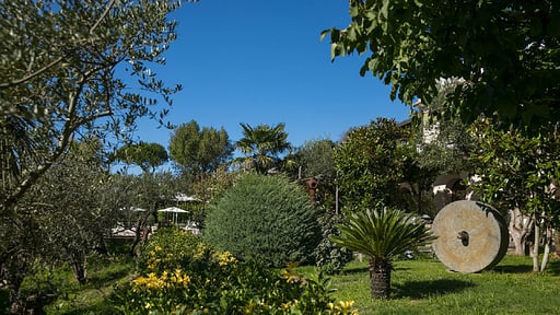 Villa Amiela Garten