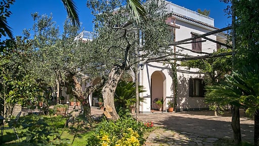 Villa Amiela Garten