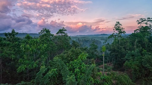 Villa Amma Erna Others