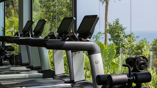 Villa Amylia Emerald Gym