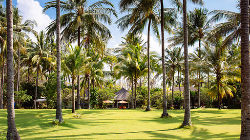 Villa Anandita Umgebung