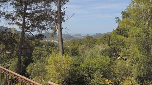 Villa Andratx Alrededores