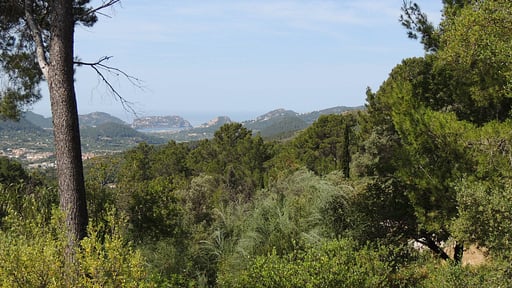 Villa Andratx Alrededores