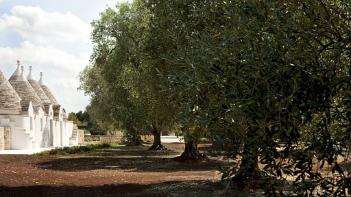 Villa Angela Ostuni Garten
