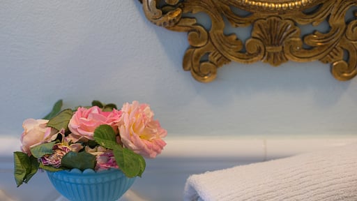 Villa Angelica Others