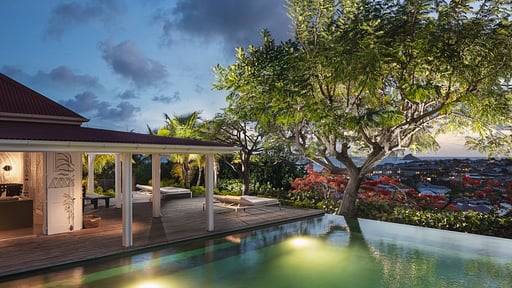 Villa Angelina Zwembad