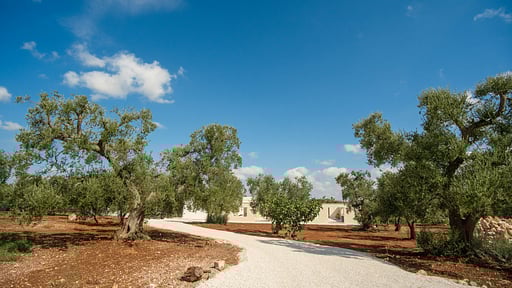 Villa Angelina Others