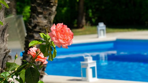 Villa Arpino Swimming pool