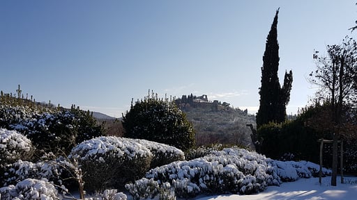 Villa Art Hangar Others 