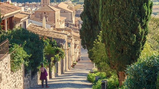 Coster Del Puig Прочее