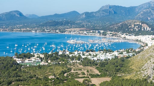 Coster Del Puig Прочее