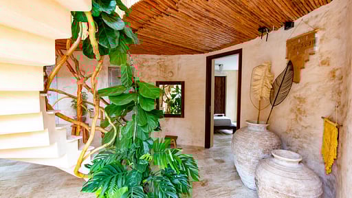 V222 Avocado Villa Others