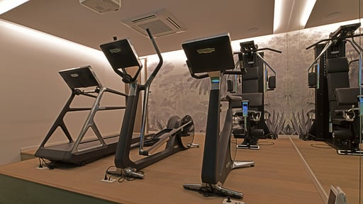 Villa Axel Rocks Fitnessraum