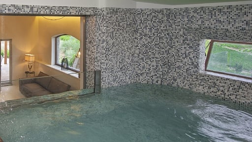 Villa Bacci Swimming pool