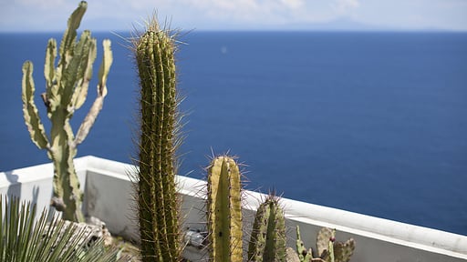 Villa Baia Coast Others