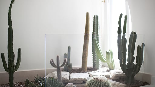 Villa Baia Coast Others