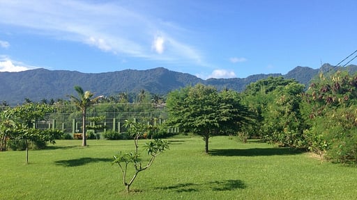 Villa Bali il Mare Jardin