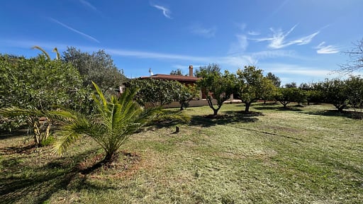 Villa Bamboo Jardín