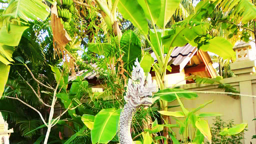 Villa Beachfront Garden