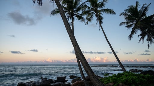 Villa Beacon By The Bay Surroundings