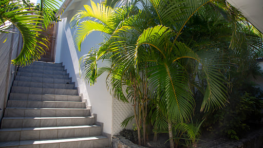 Villa Bel Roc Others