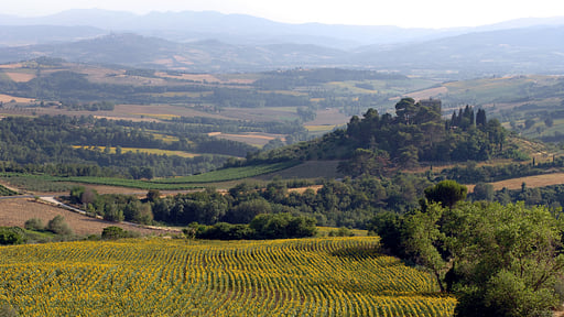 Villa Berardesca Alentours