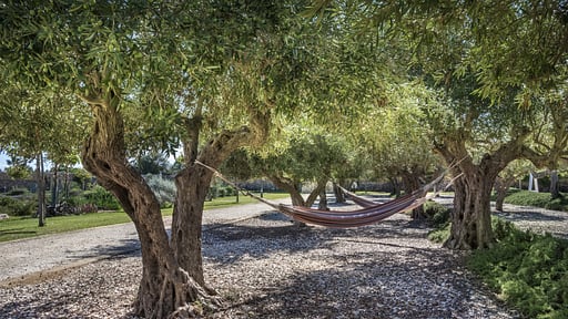 Villa Bisamon Garten