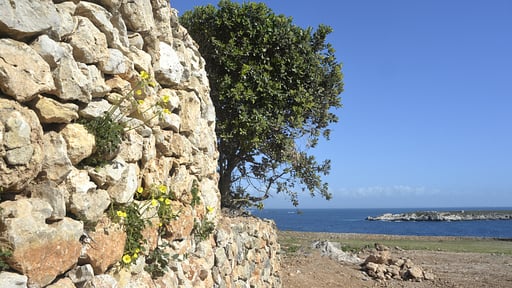 Villa Bisetta Alentours