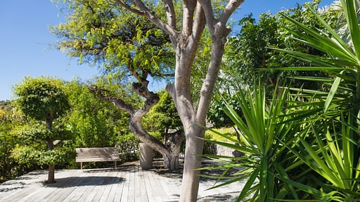 Villa Blue Dragon Autres