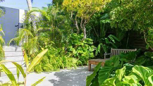 Villa Bonbonniere Others