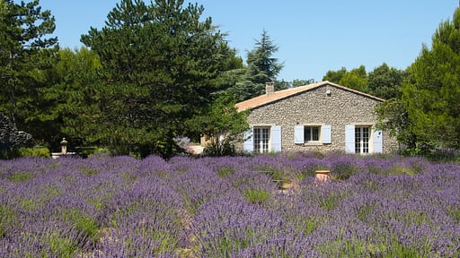 Villa Borie Jardín