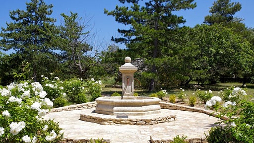 Villa Borie Jardín
