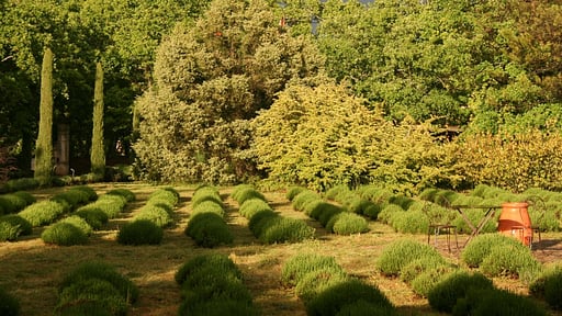 Villa Borie Otros