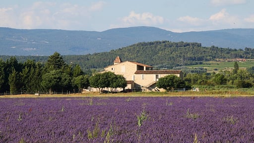 Villa Borie Otros