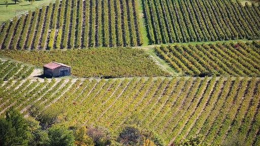 Villa Borie Otros