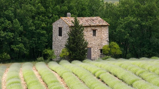 Villa Borie Otros
