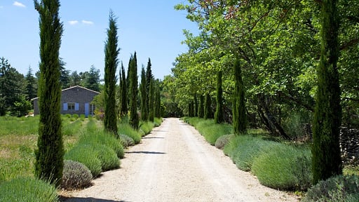 Villa Borie Otros