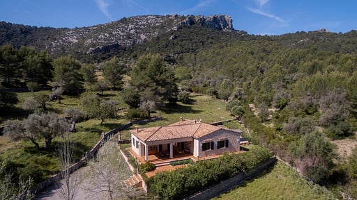 Villa Bosch Drohnen-Bilder