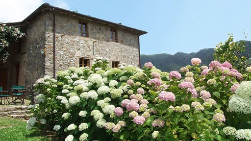 Villa Bottino Others 