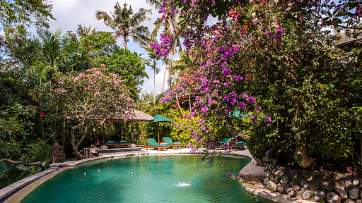 Villa Bougainvillea Swimming pool